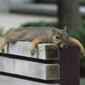 Meet your Posher, Jacqueline